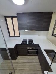 Sims Urban Oasis (D14), Condominium #584478921